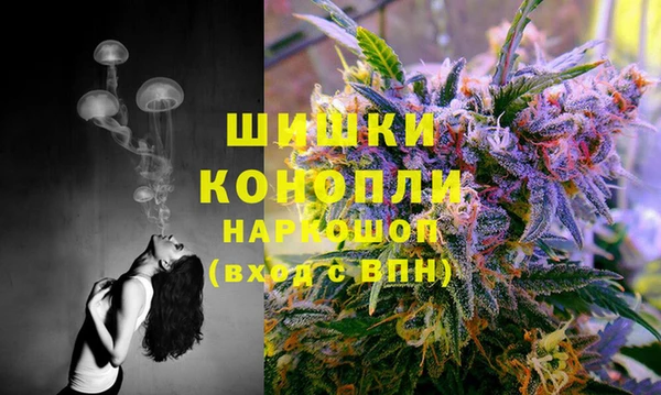 прущий лед Лагань