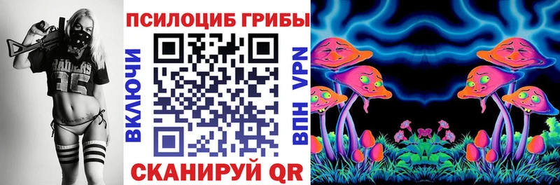 Псилоцибиновые грибы Psilocybe  дарнет шоп  Чекалин 